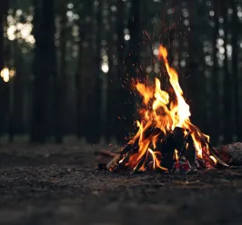 bonfire 
