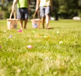 a picture of an easter egg hunt