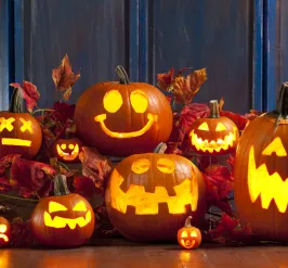 variety of carved pumpkins